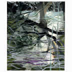 "FOREST TRAILS " by Paul Hamlyn