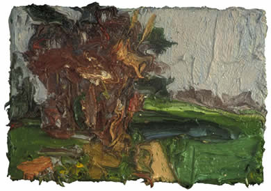 Tree Clump at Cold Blow, Bright Winter Day